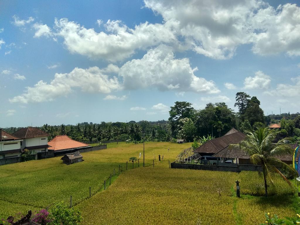 Soka Homestay Ubud Buitenkant foto