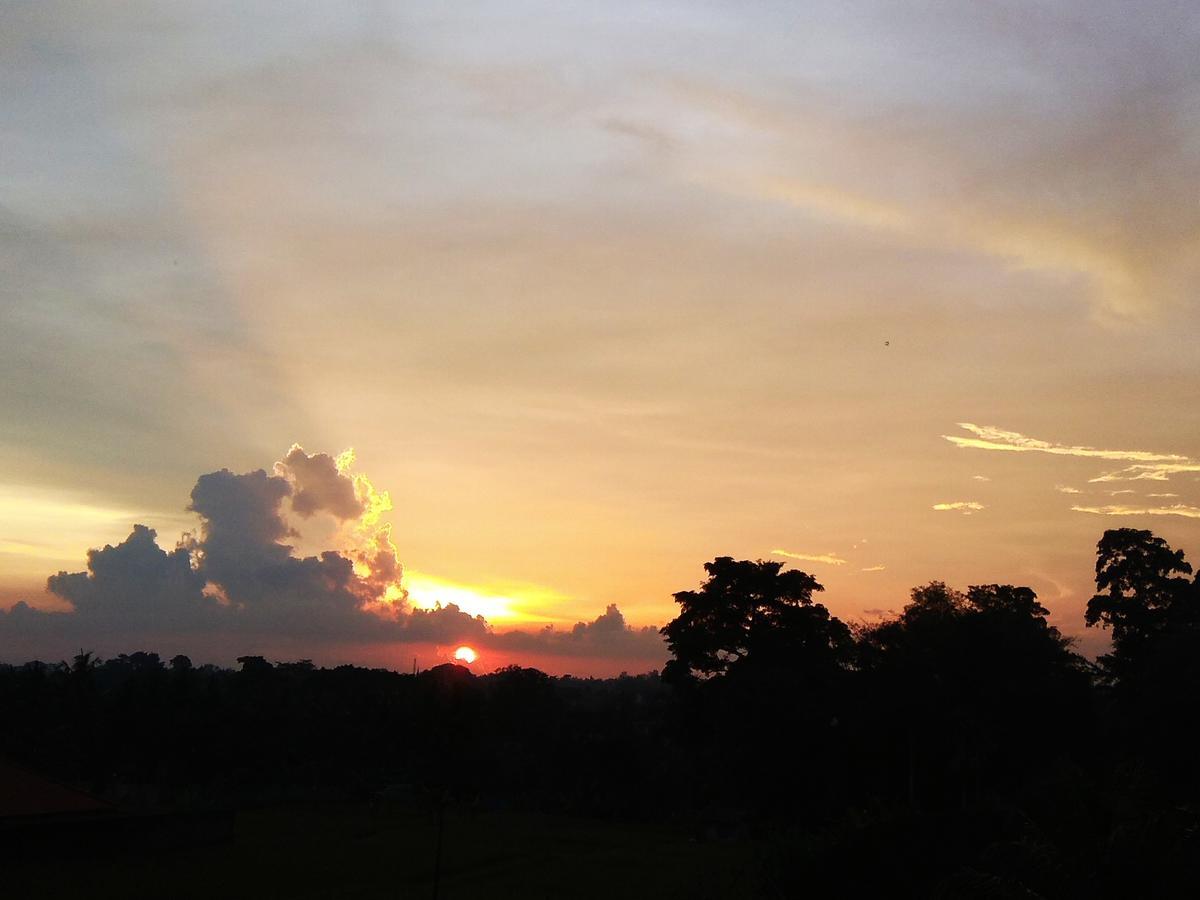 Soka Homestay Ubud Buitenkant foto